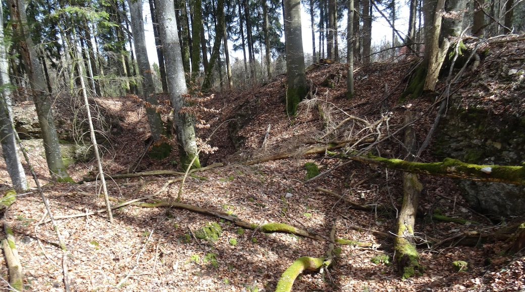 Historic bean ore mine at Monkberg, de:Salmendingen, Stadt de:Burladingen, at Schwäbische Alb in de:Baden-Württemberg, Germany. Listed as Geotop-ID 8417041 in "Geotope im Regierungsbezirk Tübingen" (Inventory of Geotopes in the administrative district of Tübingen) by Landesanstalt für Umwelt, Messungen und Naturschutz Baden-Württemberg.