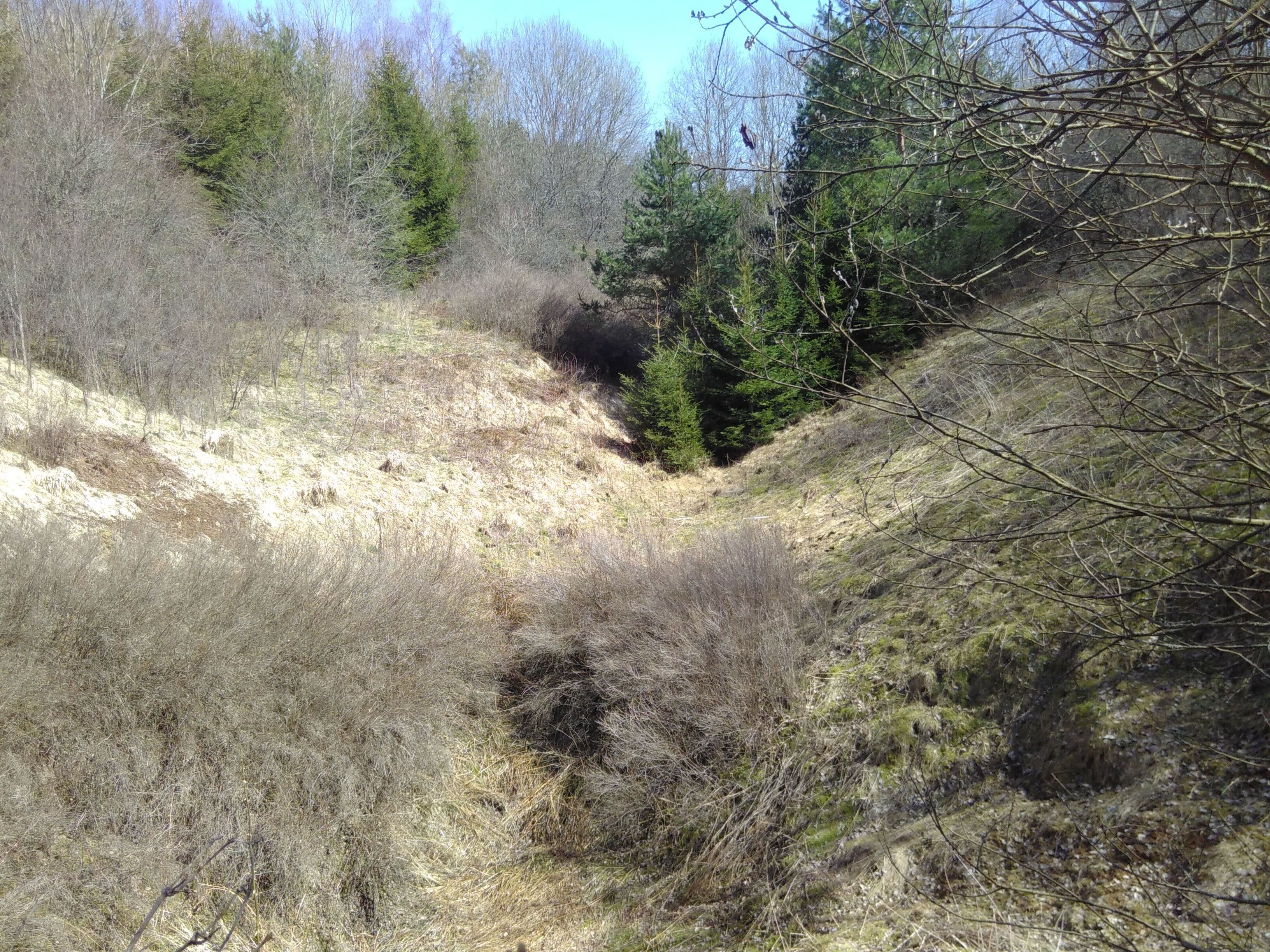 Dolinenfeld Äsfeld südlich Burladingen (Richtung Hermannsdorf) auf der Schwäbischen Alb.