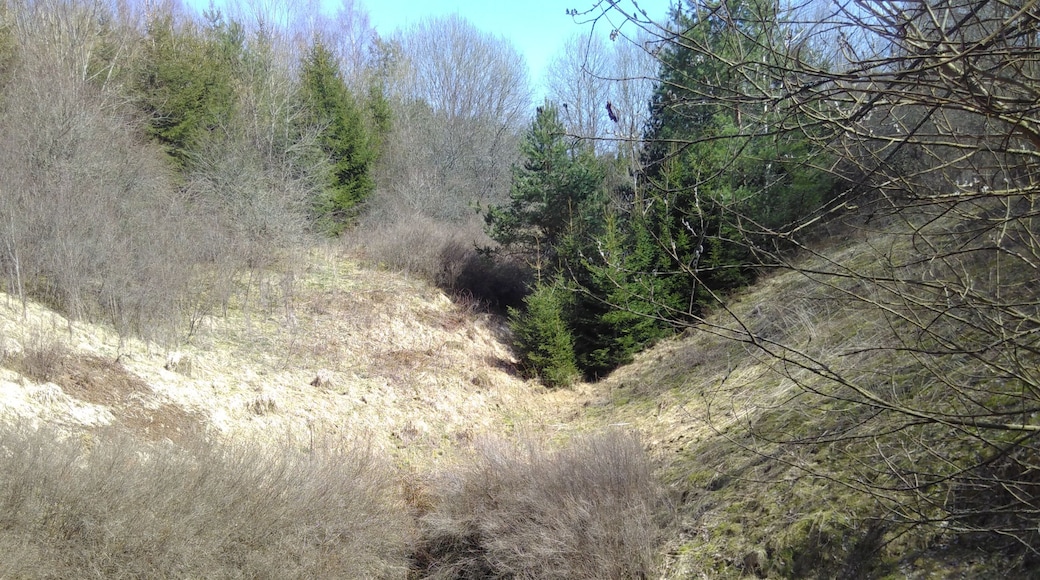 Dolinenfeld Äsfeld südlich Burladingen (Richtung Hermannsdorf) auf der Schwäbischen Alb.