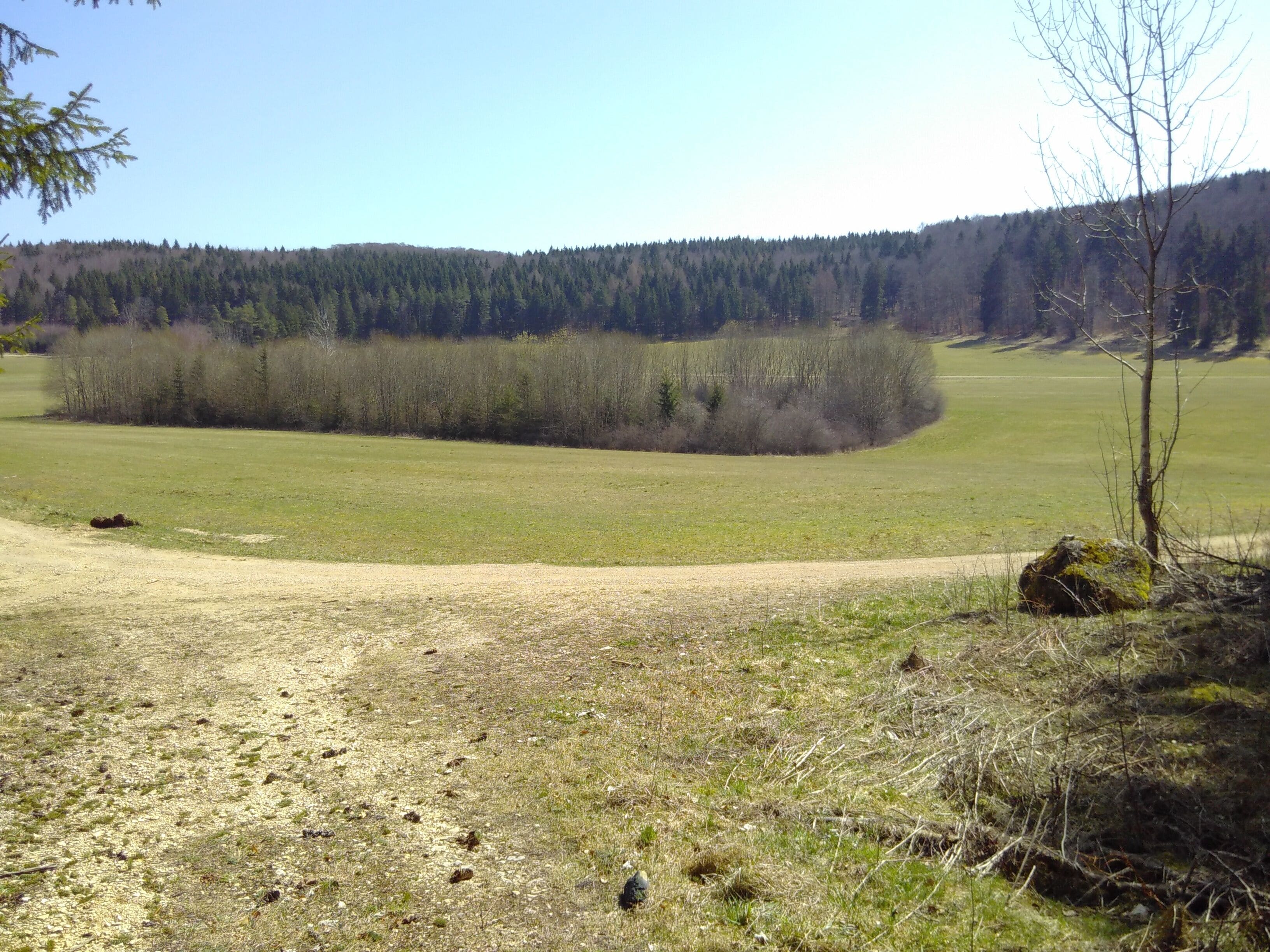 Dolinenfeld Äsfeld südlich Burladingen (Richtung Hermannsdorf) auf der Schwäbischen Alb. Blick von Nordwesten auf das Areal des Dolinenfelds.