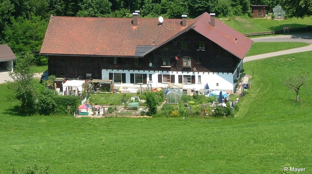 Beim Schloss Syrgenstein