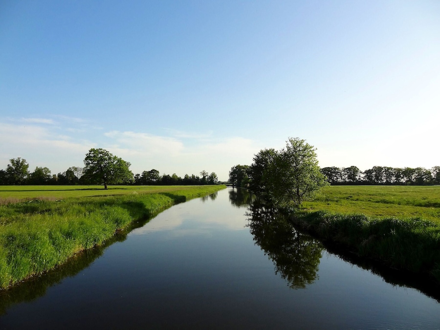 A calm river reflecting trees and a clear sky.