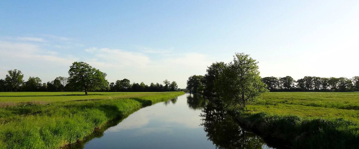 A calm river reflecting trees and a clear sky.