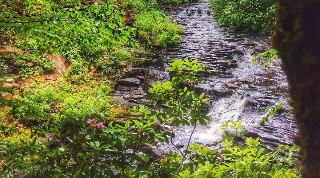 Streams, covered bridges, and waterfalls.