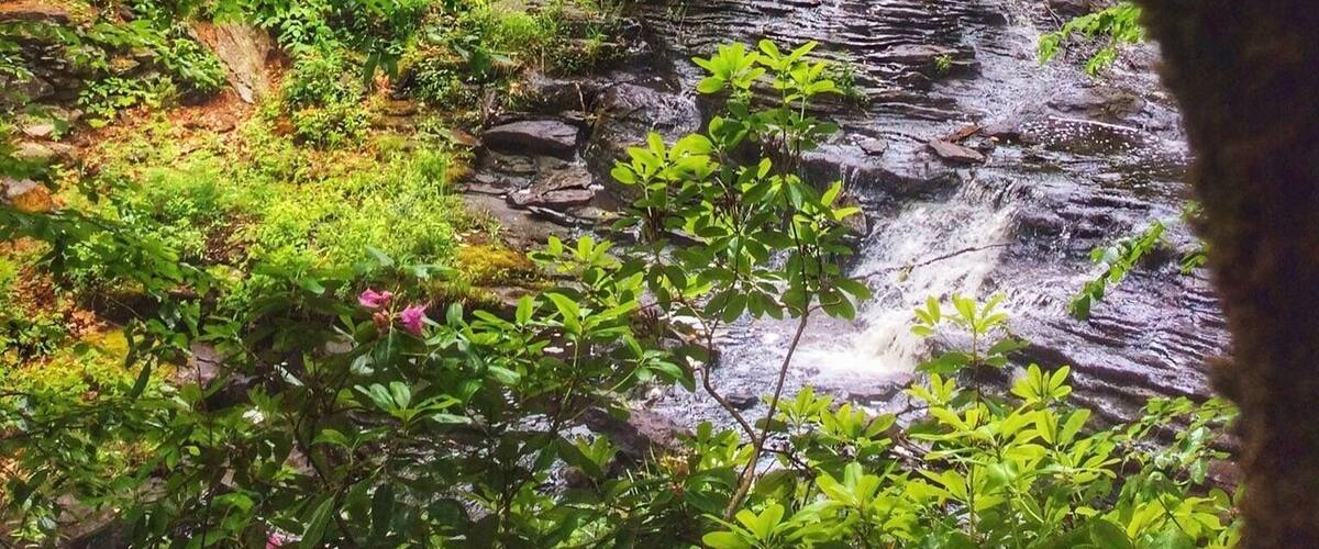 Streams, covered bridges, and waterfalls.