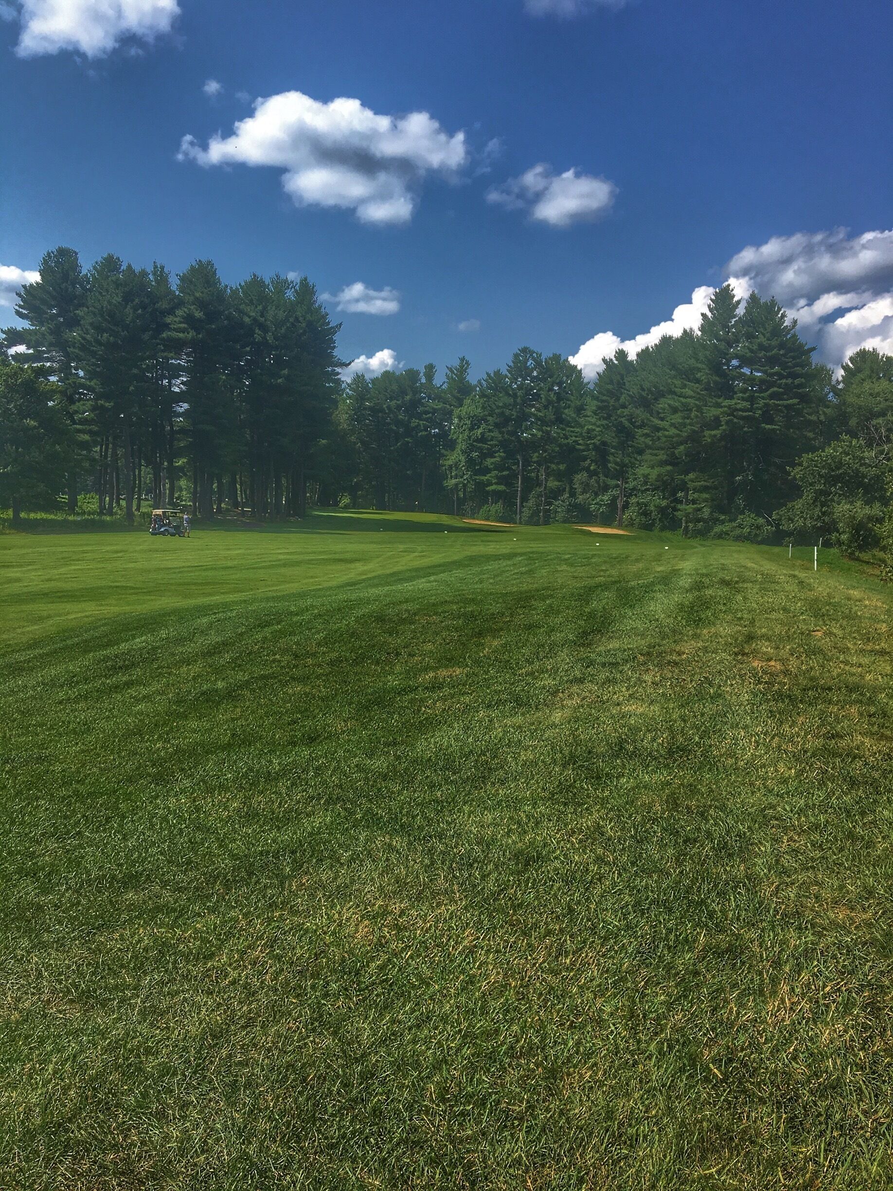A golf course with a clear sky and tall trees in the background.