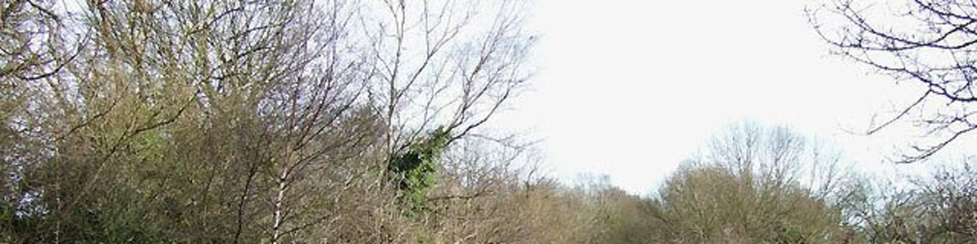 South Staffordshire Railway Walk, near Kingswinford The railway opened in 1925, and within seven years had closed to passenger traffic. http://www.sstaffs.gov.uk/Default.aspx?page=12709