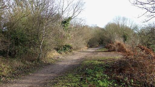 South Staffordshire Railway Walk, near Kingswinford The railway opened in 1925, and within seven years had closed to passenger traffic. http://www.sstaffs.gov.uk/Default.aspx?page=12709