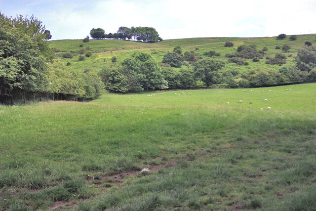 Grazing for sheep, below Grove House The public right of way between Levisham and Newton-on-Rawcliffe crosses this field of sheep.