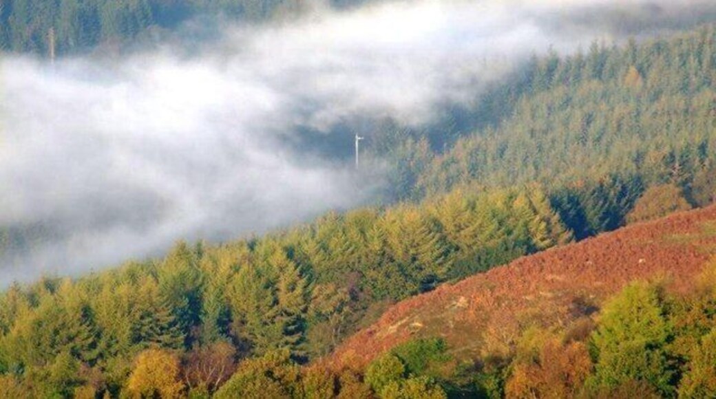 The Distant Stop Signal Close to Levisham level crossing this preserved railway signal stands clear of the exhaust steam from a train to Whitby.