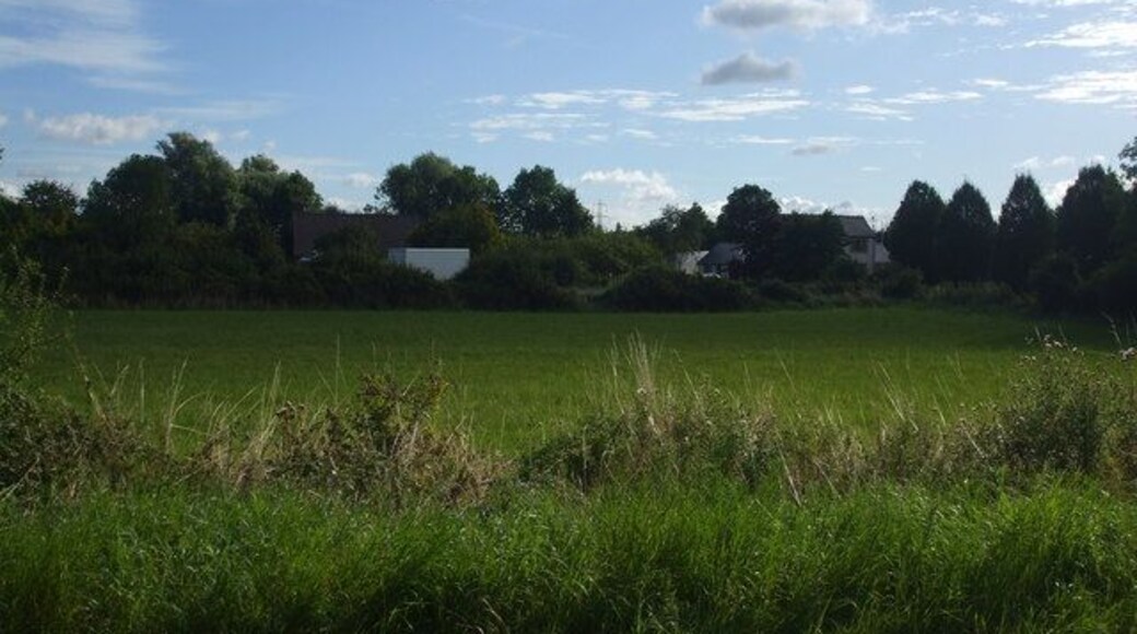 Fields towards Sutton Nurseries