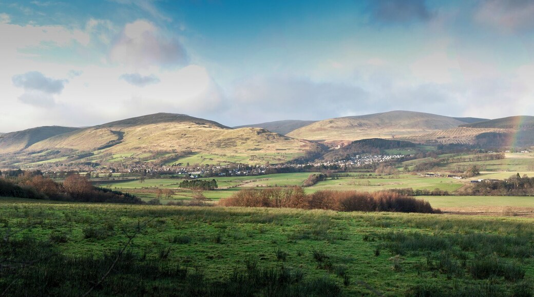 Dollar From Dollarbeg