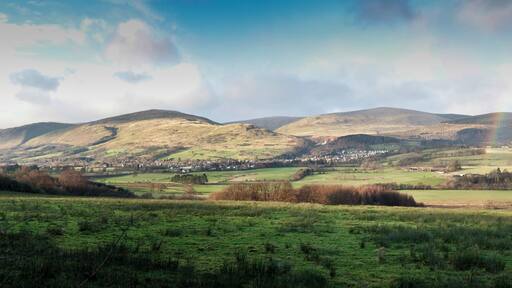 Dollar From Dollarbeg