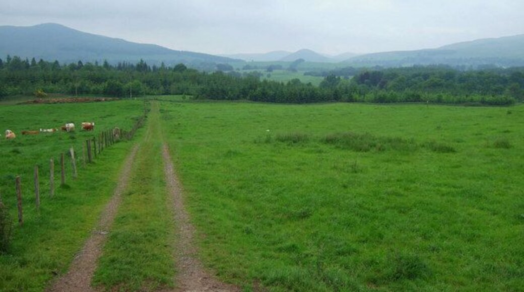 Whitegates Looking North towards the hills at Glen Devon from the A977 at Whitegates