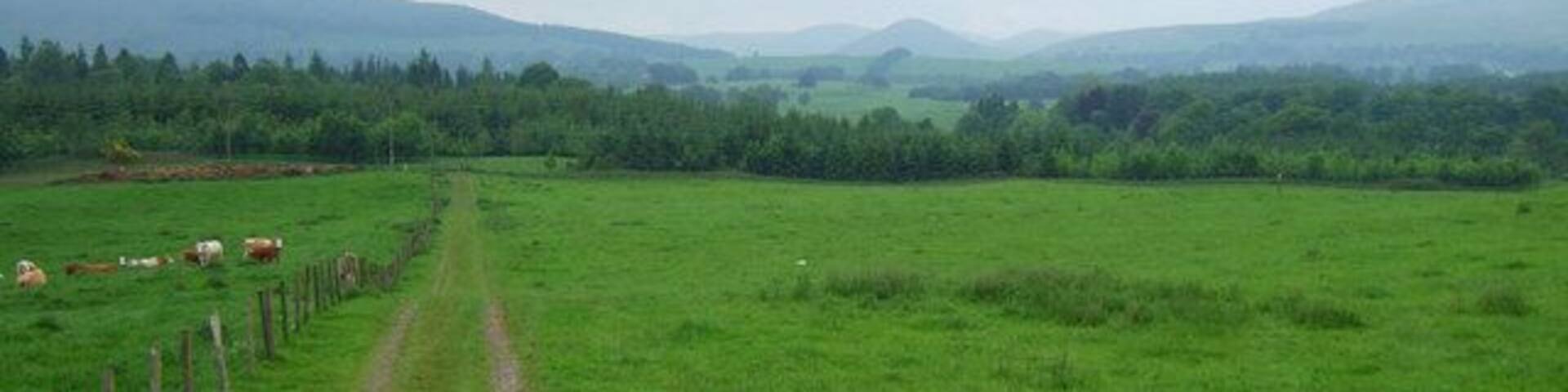 Whitegates Looking North towards the hills at Glen Devon from the A977 at Whitegates