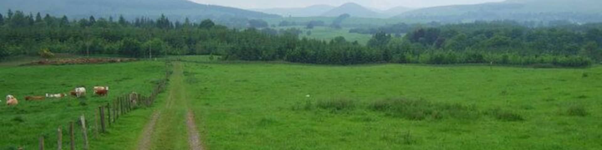 Whitegates Looking North towards the hills at Glen Devon from the A977 at Whitegates
