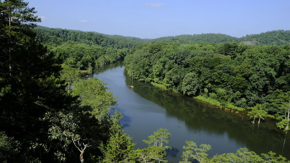 A river winding through a dense forest with hills in the background.