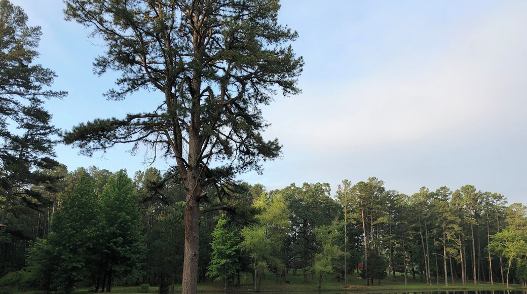 Quaint cabins, tall pines, and miles of trails and lakes make Beaver’s Bend State Park and Hochatown, OK a lovely weekend getaway.