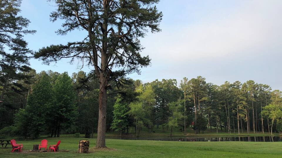 A grassy field with a large tree, red chairs, and a picnic table.