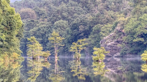 Beavers bend state park, Oklahoma.