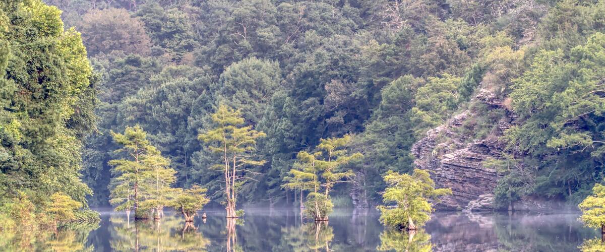 A calm lake surrounded by dense forest and rocky cliffs.