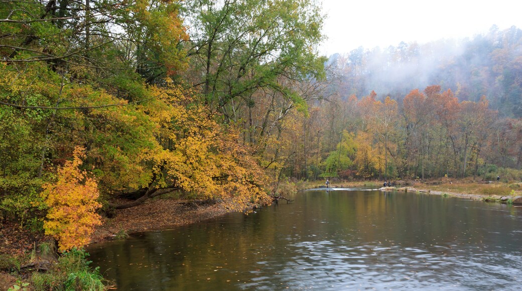 The Mountain Fork River in fog in Southeastern Oklahoma and the Ouachita Mountains in Rich Fall Color Near Broken Bow Oklahoma and Beaver's Bend and Hochatown State Parks