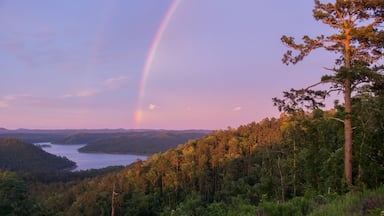 Un paysage boisé avec un arc-en-ciel se déployant au-dessus d’un lac.