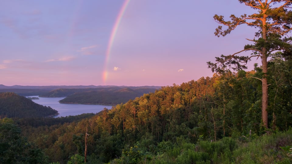 A forested landscape with a rainbow over a lake.