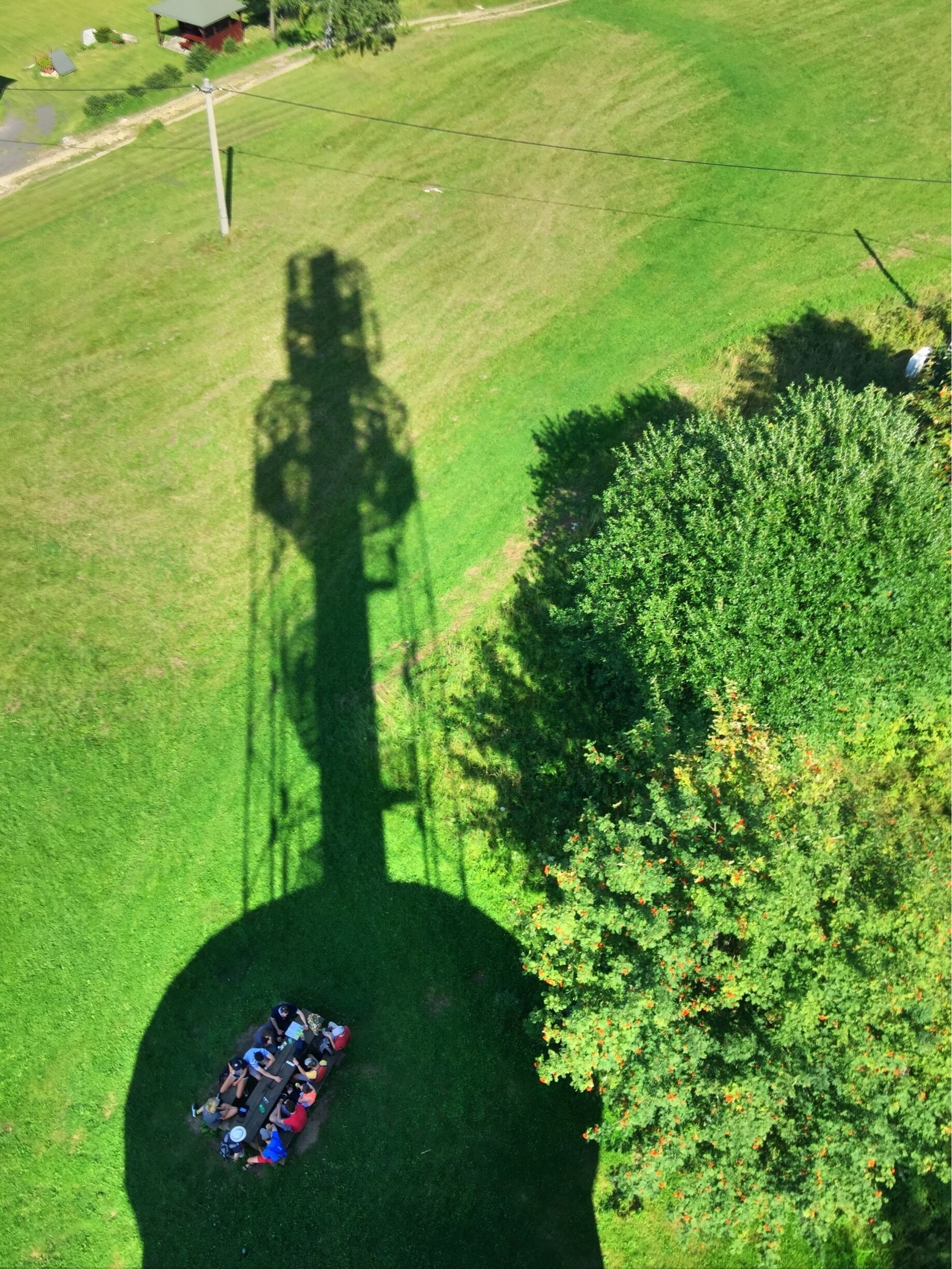 An aerial view of a grassy field with a group of people gathered around a red vehicle, a large tree casting a shadow, and a utility pole in the distance.