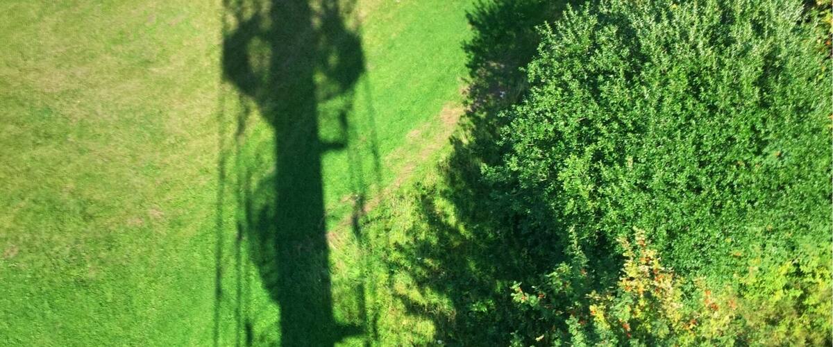 An aerial view of a grassy field with a group of people gathered around a red vehicle, a large tree casting a shadow, and a utility pole in the distance.