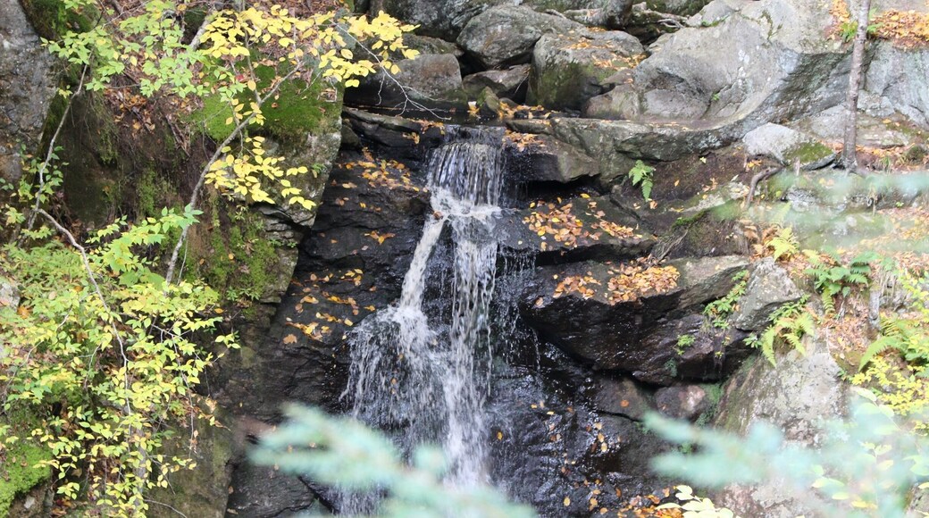 A quick and easy hike to one of Massachusetts' hidden waterfalls.