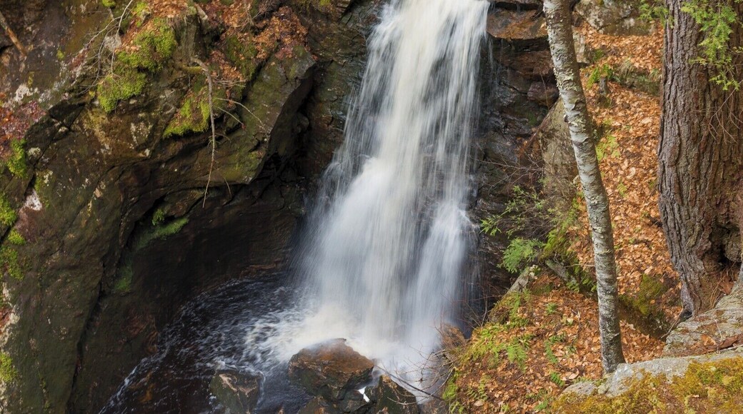 Royalston Falls is a moderate to difficult hike. Can take 45mins to 1 hr walk each way from the entrance. Keep following the trees with White and Yellow marks. At some point the trail splits into 2 paths. The one on the left goes to mount monadnock (19 miles) and one on the right follow the trees with Yellow markers to reach the falls.
Latitude: 42.715
Longitude: -72.255
http://www.thetrustees.org/places-to-visit/central-ma/royalston-falls.html