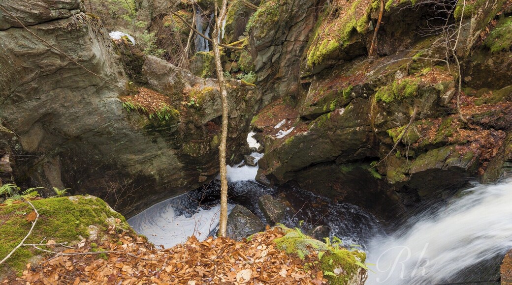 Royalston Falls is a moderate to difficult hike. Can take 45mins to 1 hr walk each way from the entrance. Keep following the trees with White and Yellow marks. At some point the trail splits into 2 paths. The one on the left goes to mount monadnock (19 miles) and one on the right follow the trees with Yellow markers to reach the falls.
Latitude: 42.715
Longitude: -72.255
http://www.thetrustees.org/places-to-visit/central-ma/royalston-falls.html