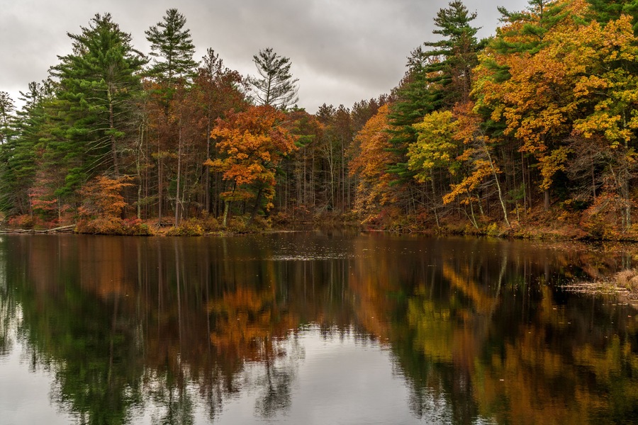 A pond in the Fall in Massachusetts