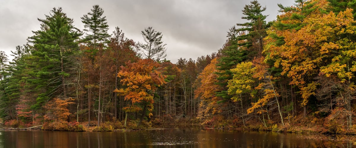A calm lake surrounded by autumn-colored trees reflecting in the water.