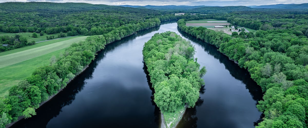 A river with a narrow island of trees in the middle, surrounded by lush green fields and hills.