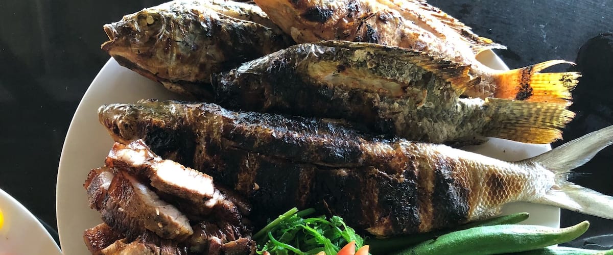 Grilled fish and meat on a plate with vegetables.