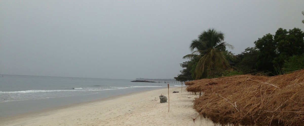 A beach with thatched umbrellas and palm trees.