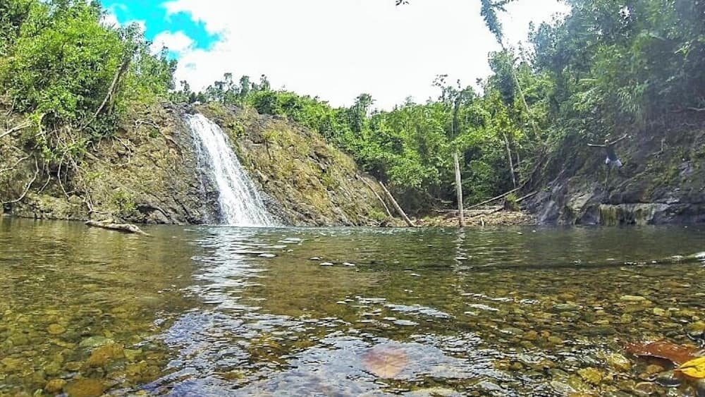 A waterfall in a forested area with clear water and rocks at the bottom.