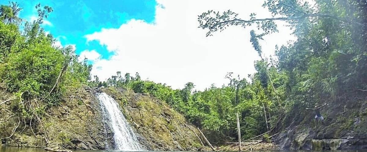 A waterfall in a forested area with clear water and rocks at the bottom.
