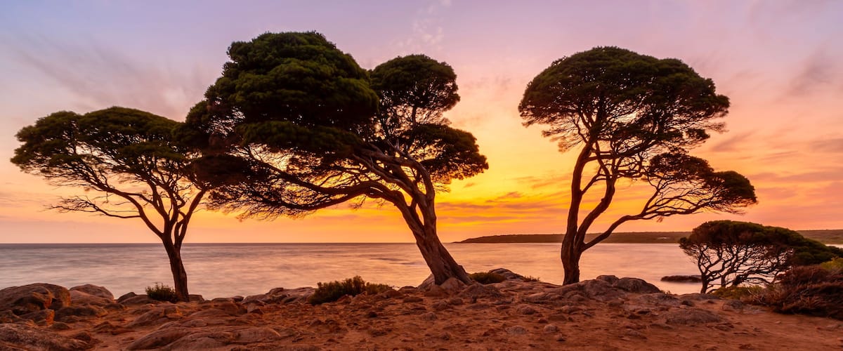 Bunker Bay Western Australia at sunrise