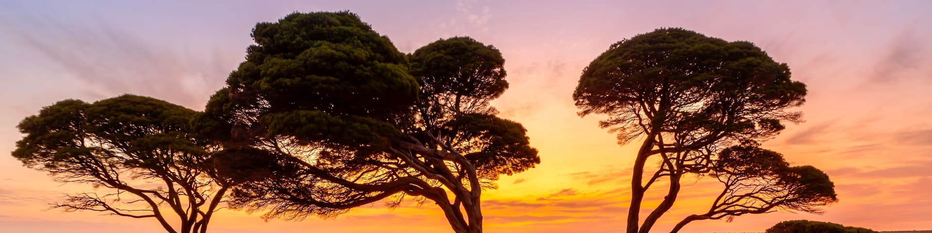 Bunker Bay Western Australia at sunrise