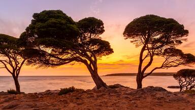Bunker Bay Western Australia at sunrise