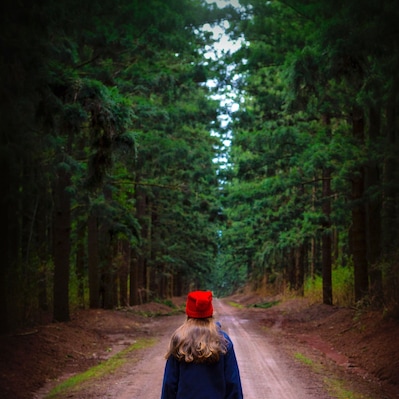 I love the hoop pine forests as you enter the small township of Yarraman and always venture in to the day use area when visiting. These huge lush trees always feel like I'm in another world! The town is gorgeous too 💚
#queensland #australia
#red #parks