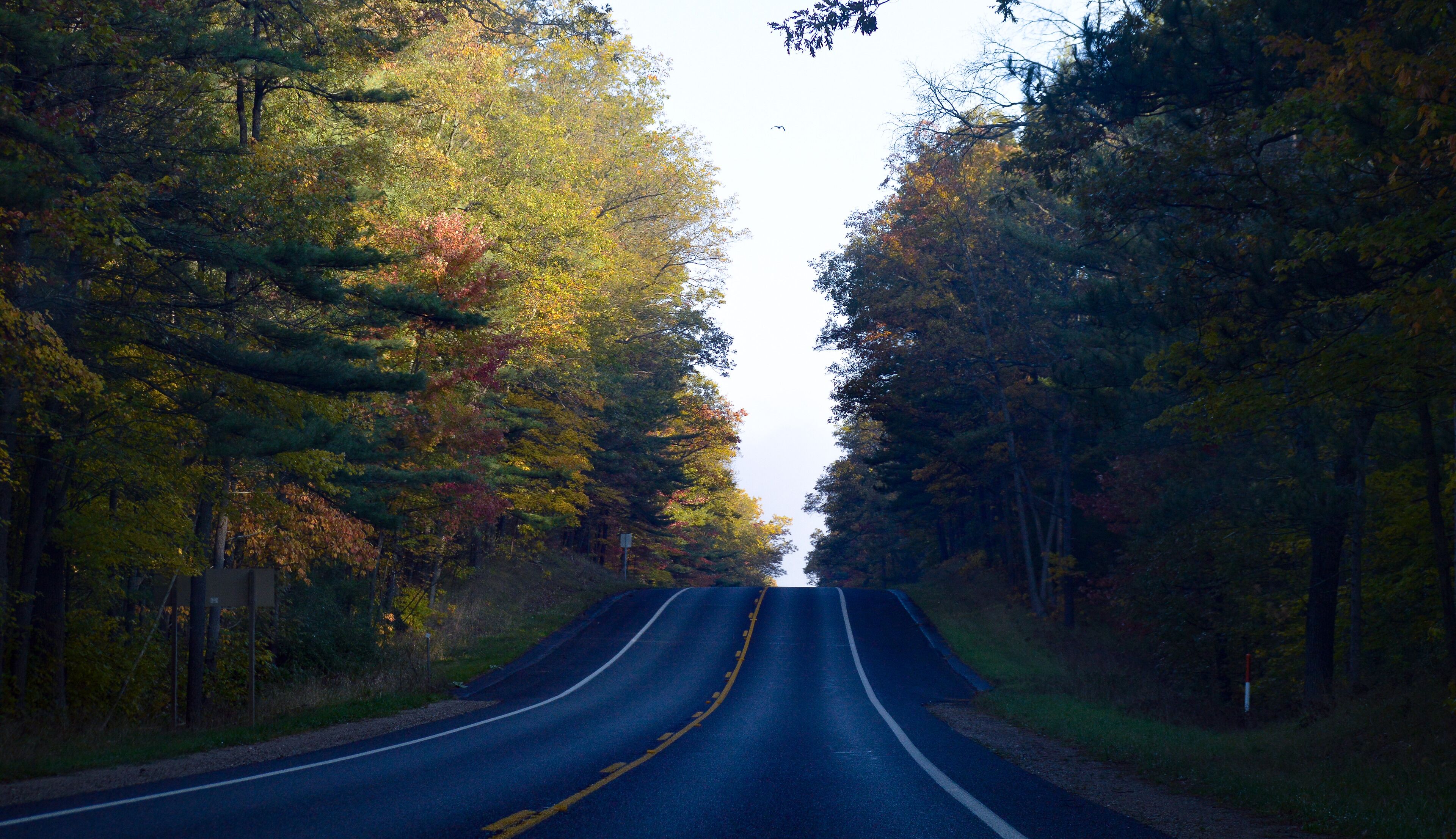 Fall colors while driving through the Huron-Manistee national forest