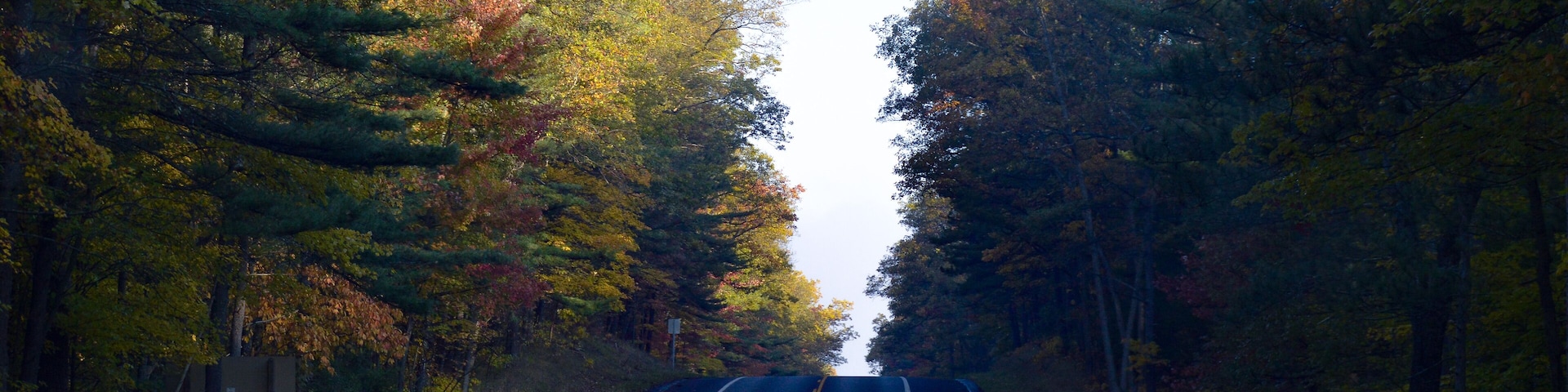 Fall colors while driving through the Huron-Manistee national forest