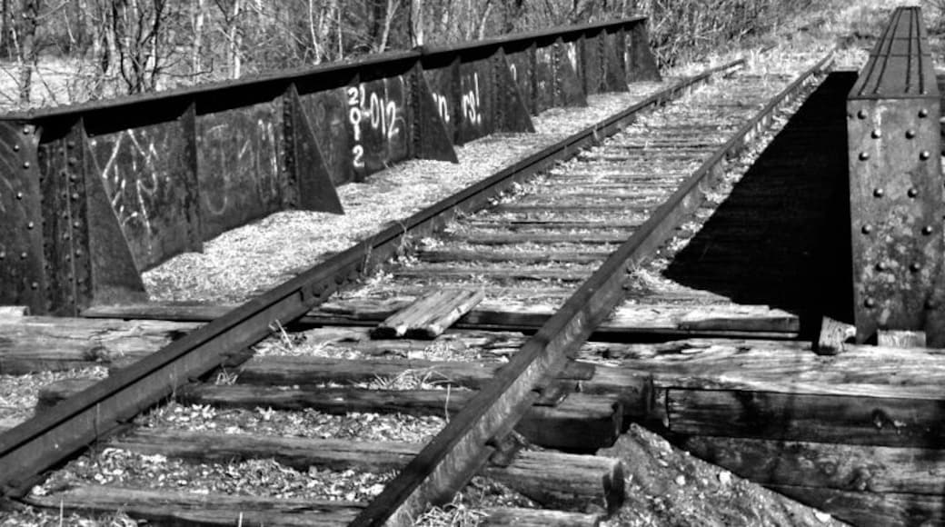 I found this cool old iron bridge over the river on the abandoned railroad tracks running adjacent to the park I came across.
#Michigan #PureMichigan #Railway #Railroad #Train #TrainTracks #abandoned #BlackandWhite #BandW