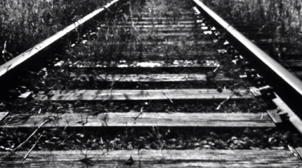 I'm a sucker for old trains and railroad tracks.
#michigan #puremichigan #fall #leaves #autumn #train #railroad #railway