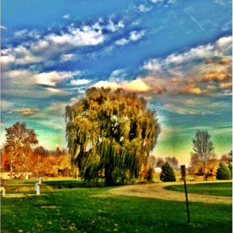 I came across this beautiful willow tree in a cozy little park in Burr Oak, Michigan. Great little park to spend the day with your family.