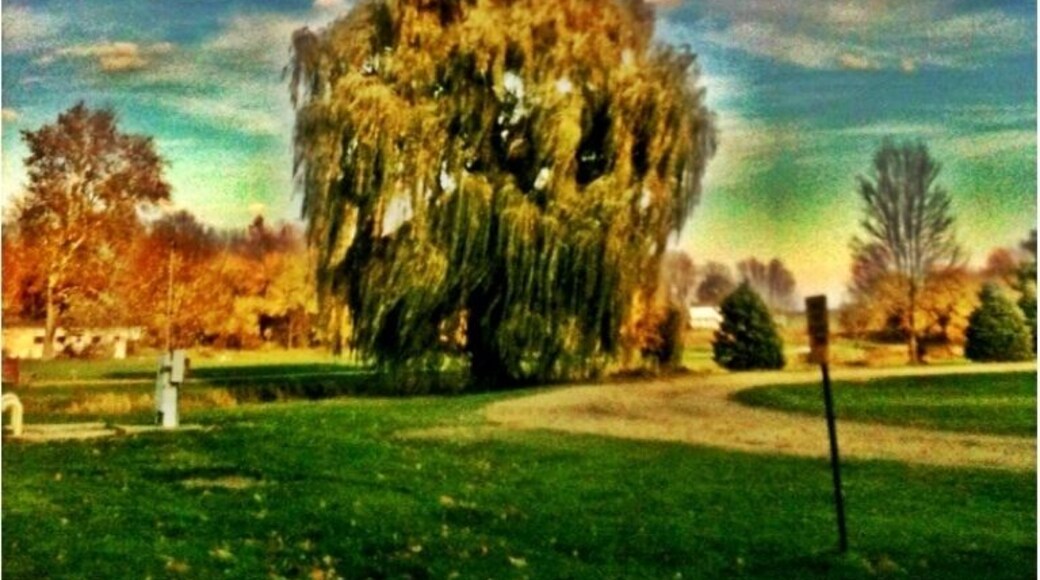 I came across this beautiful willow tree in a cozy little park in Burr Oak, Michigan. Great little park to spend the day with your family.